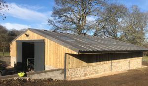 Larger domestic steel framed shed and workshop