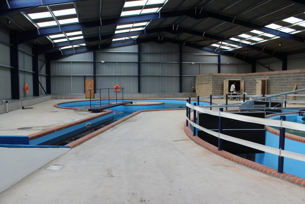 Interior of an equestrian treatment centre in North Yorkshire