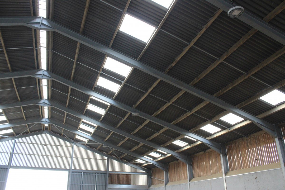 Interior of an agricultural steel framed building with rooflights